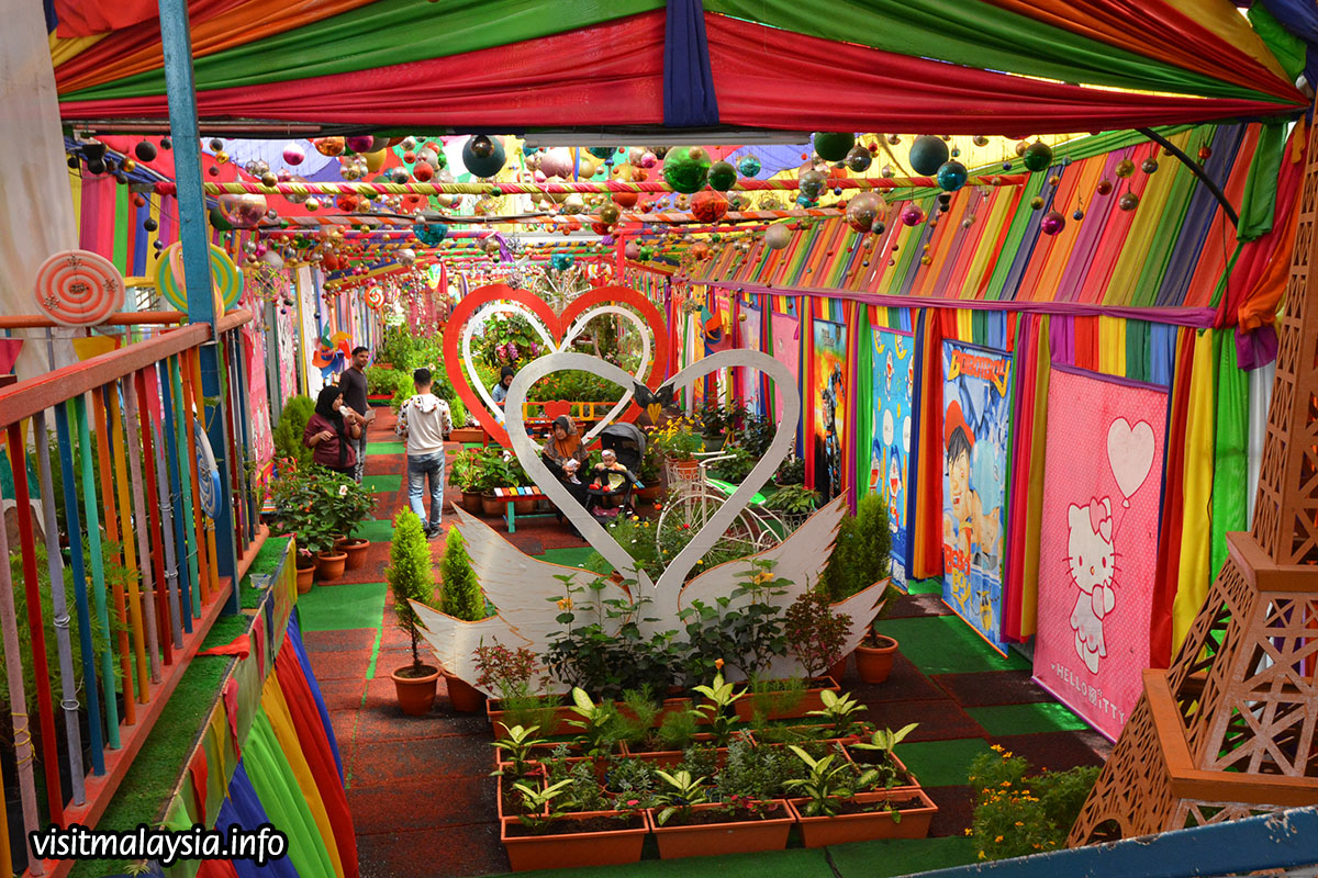 Park cameron highland flora A showcase